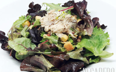 ¿Te gustan las Ensaladas?