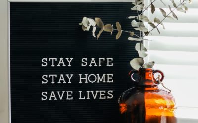 7 alimentos para subir las defensas y fortalecer el sistema inmune.