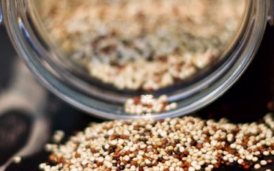 La Quinoa: el superalimento de moda
