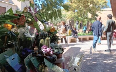 🌿🌸 Paseo del Mercado de Flores en San Lucas y a terraza en Recaredo